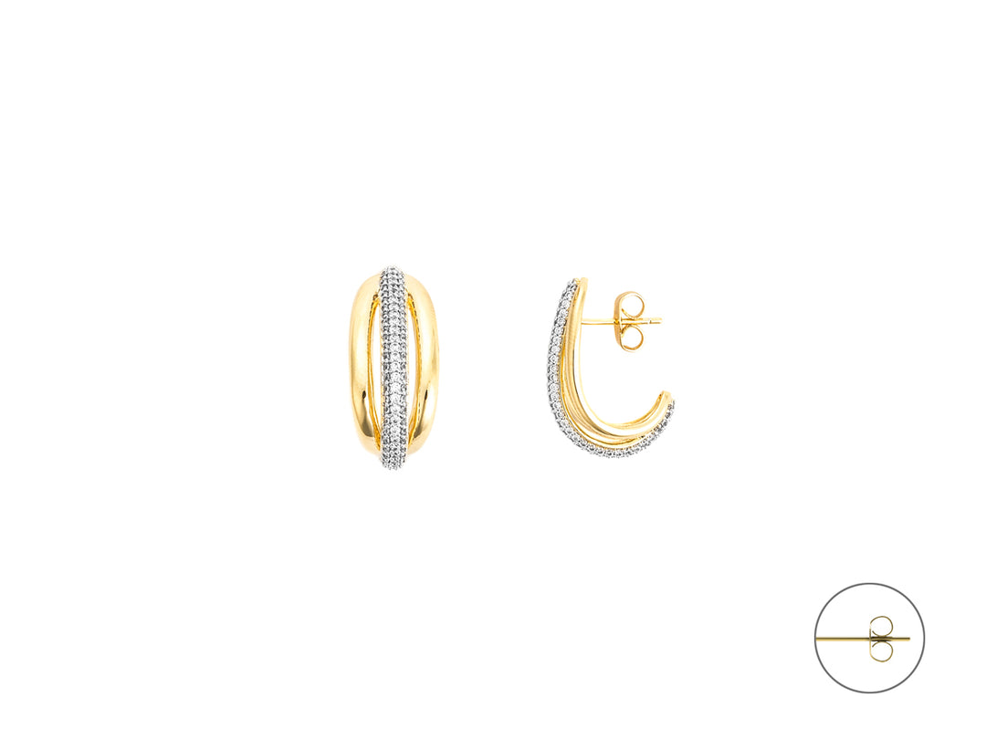 4US Cesare Paciotti earrings