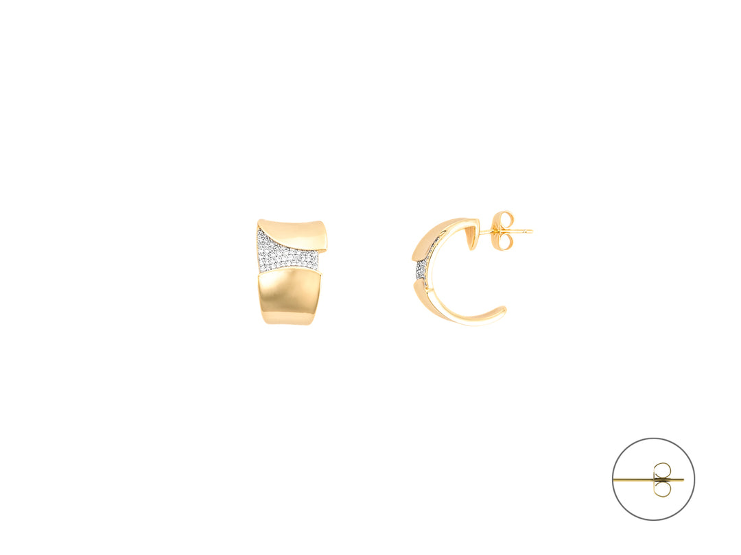 4US Cesare Paciotti earrings