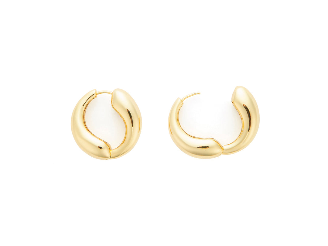 4US Cesare Paciotti earrings