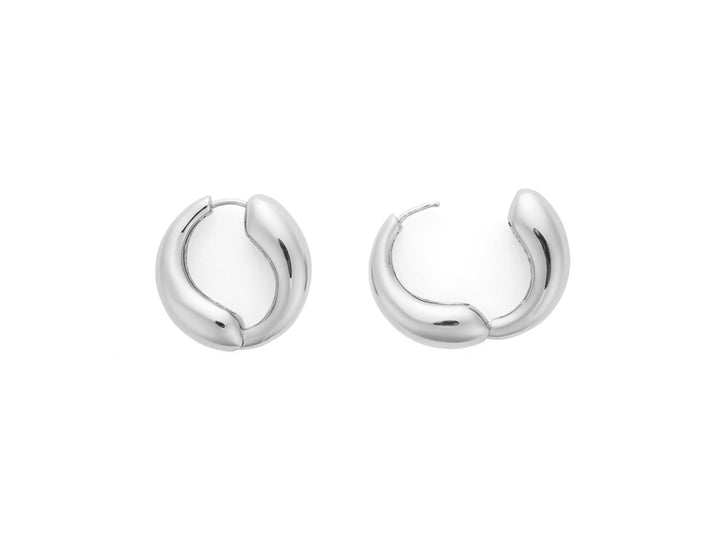 4US Cesare Paciotti earrings