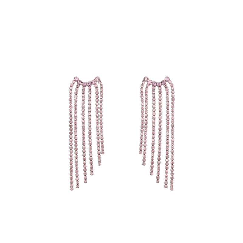 4US Cesare Paciotti earrings