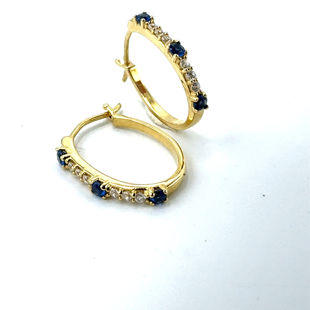 Yellow Gold Circle Earrings