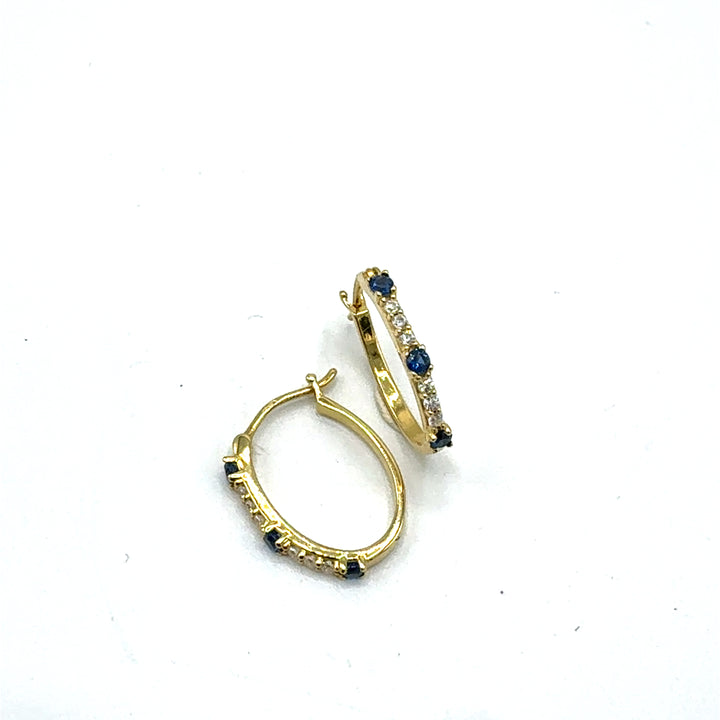 Yellow Gold Circle Earrings