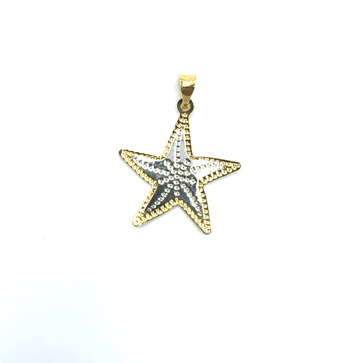 Ciondolo Pendente Stella  Oro Bicolore
