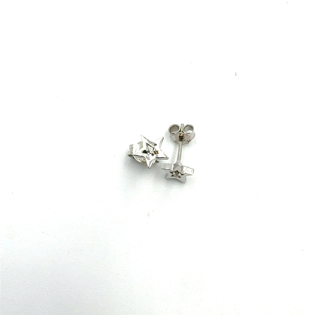 Yellow White Gold Earrings
