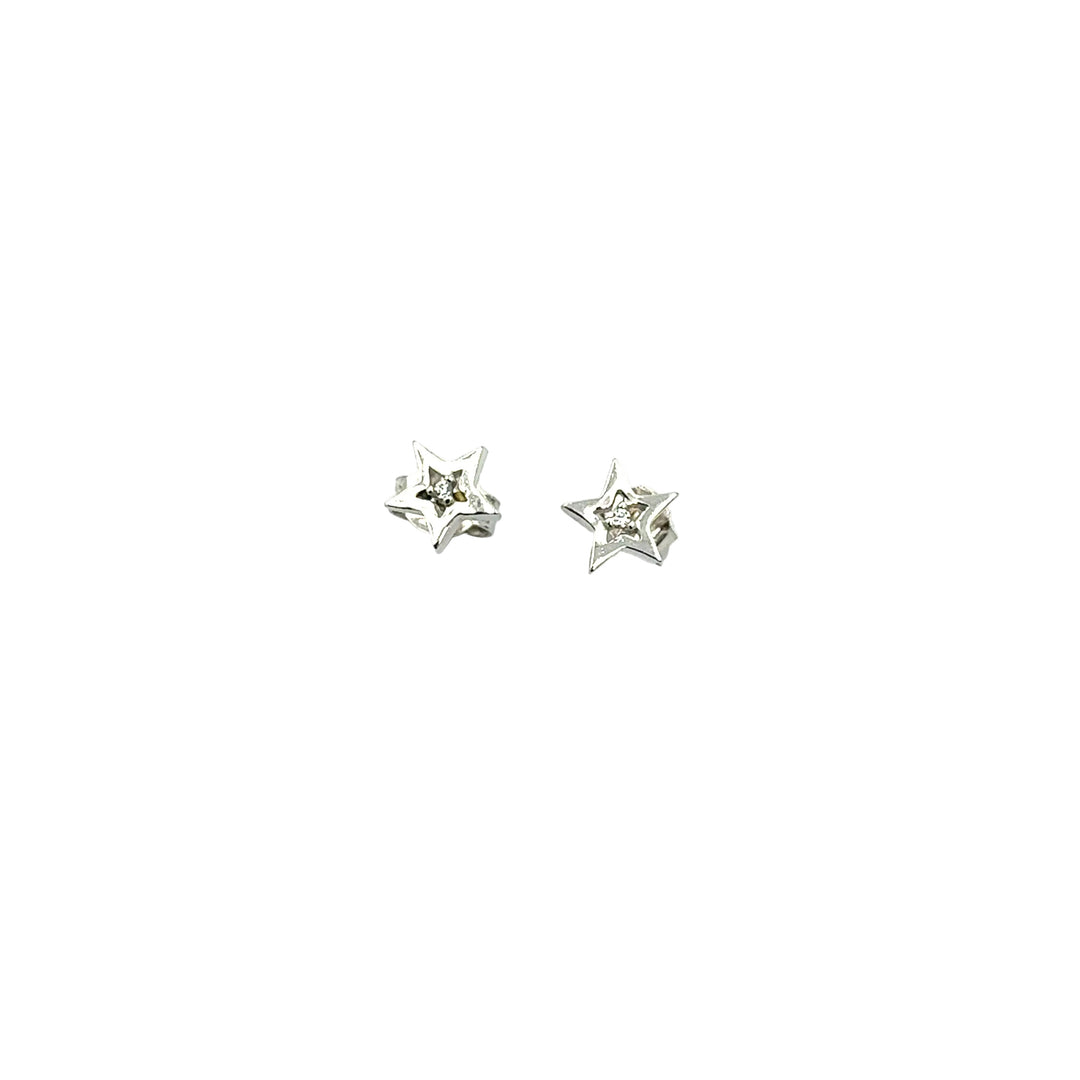 Yellow White Gold Earrings