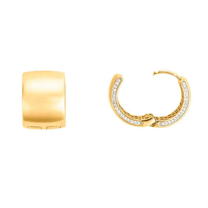 4US Cesare Paciotti earrings