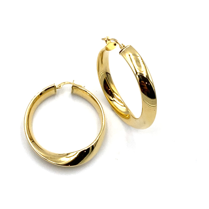 Shiny Circle Earrings