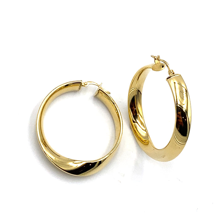 Shiny Circle Earrings