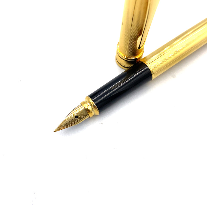 penna stilografica aurora - siciliano gioielli