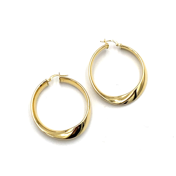 Shiny Circle Earrings