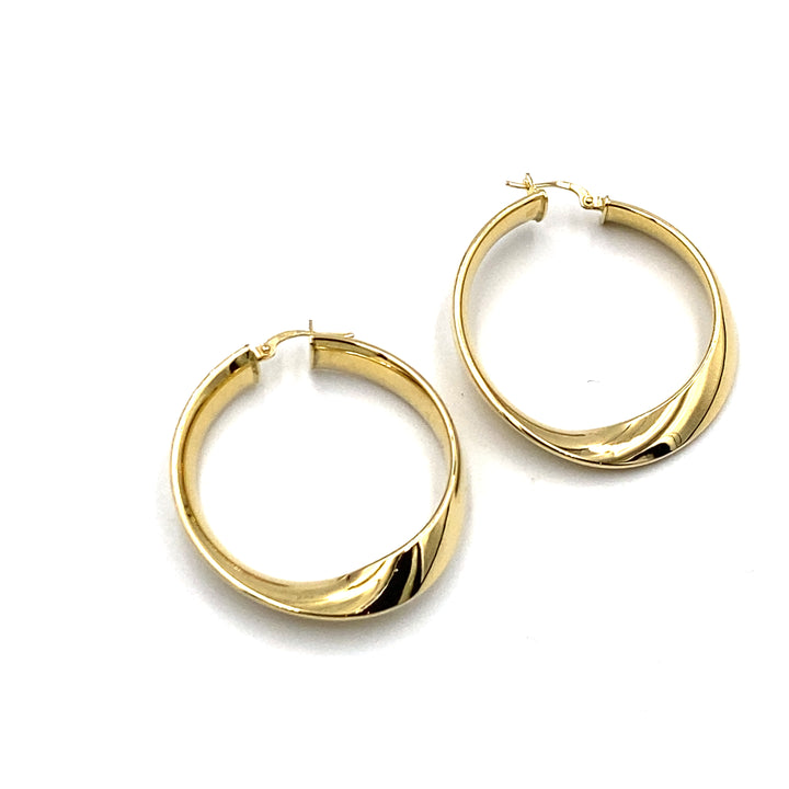 Shiny Circle Earrings