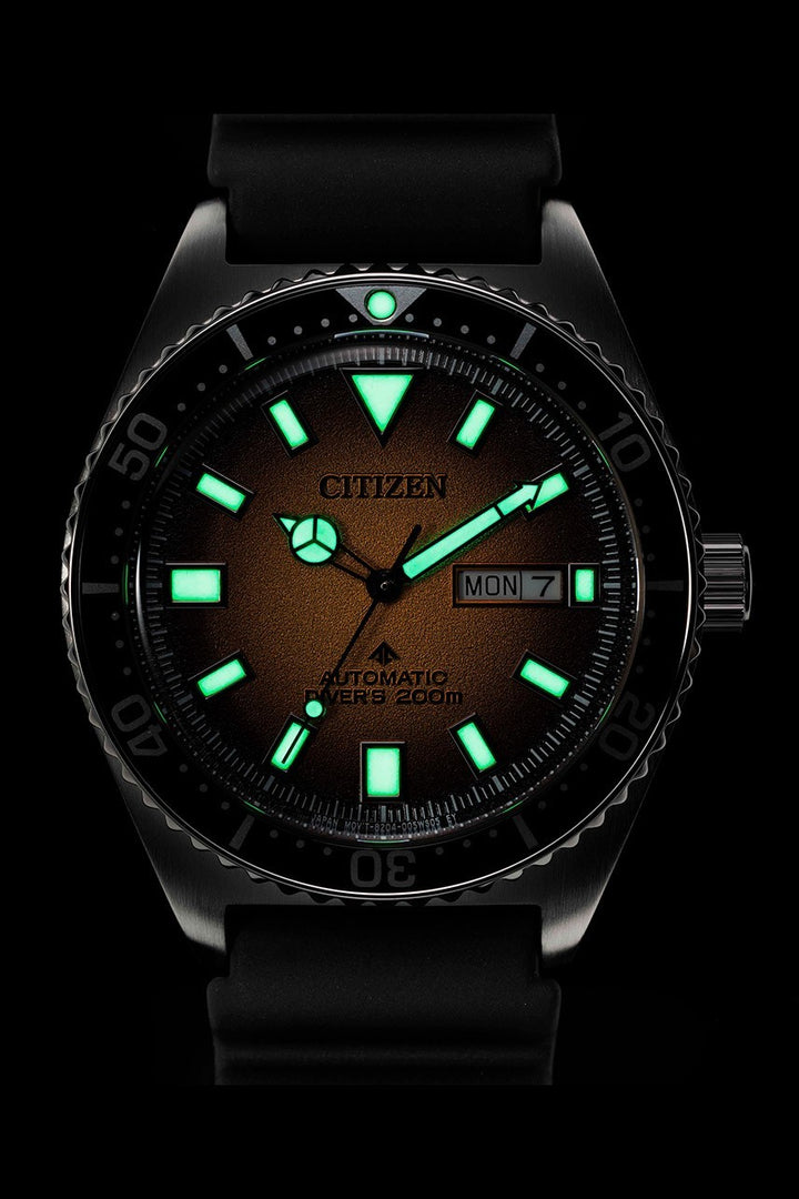 Citizen Promaster Automatic Diver's watch