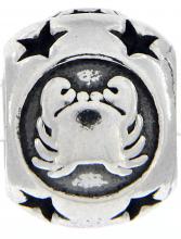 Pendente Beads Charmant Silver Beads