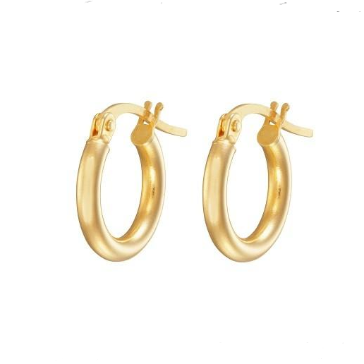 4US Cesare Paciotti earrings