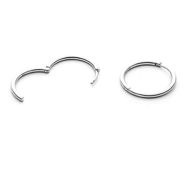 4US Cesare Paciotti earrings